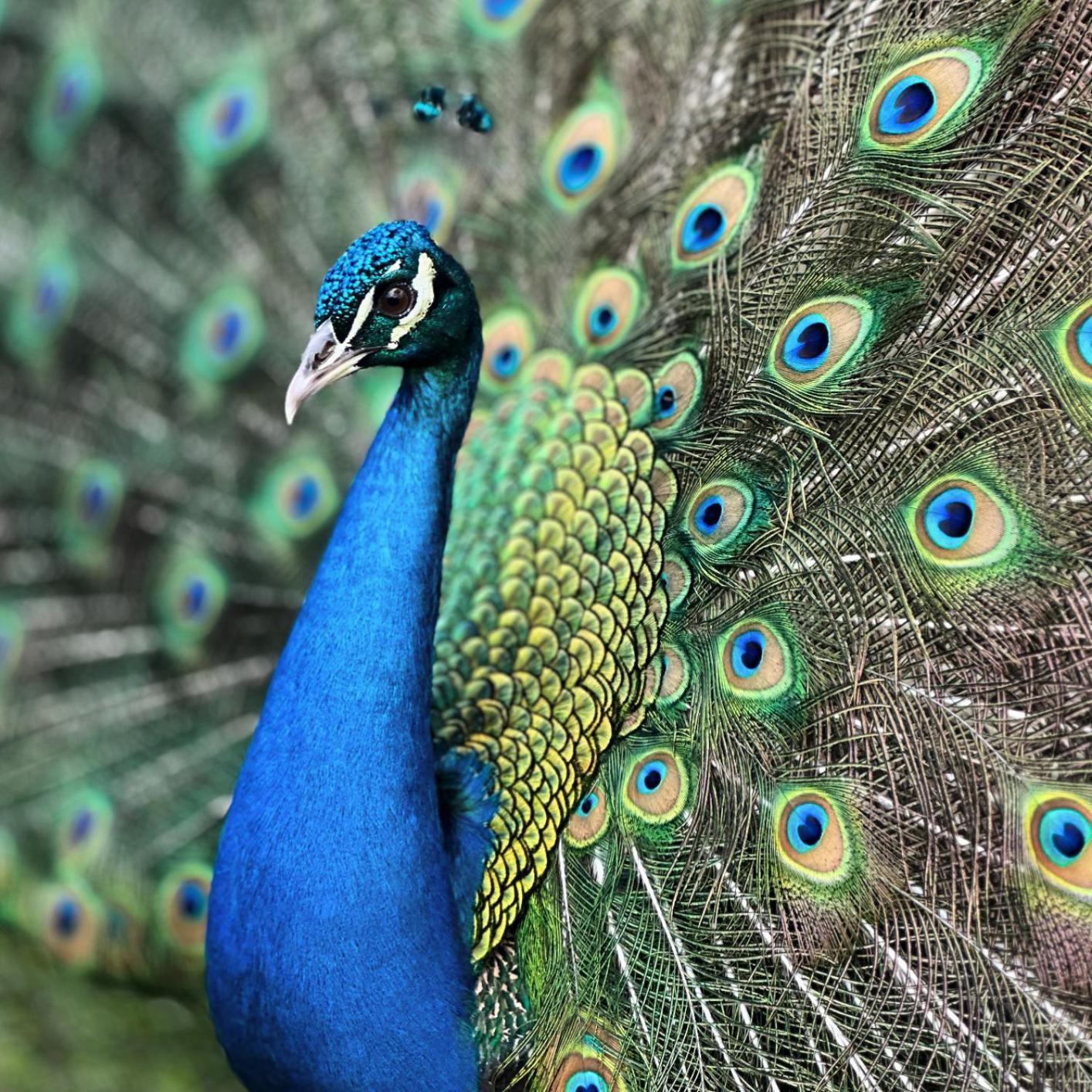 Finca Ecoparaiso Ibagué 外观 照片